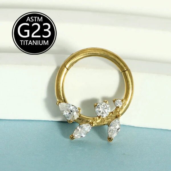 Simple Titanium Alloy ASTM F136 Zircon Leaf Nose Ring Ear Studs Ear Bone Ring Body Piercing Jewelry Fashionable Leaf Pattern