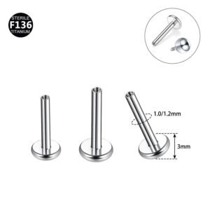 F136 Titanium Lip Studs 3.0mm Base Inner Tooth Ear Bone Flat Bottom Rod G23 Titanium Alloy Body Piercing Jewelry Ear Studs
