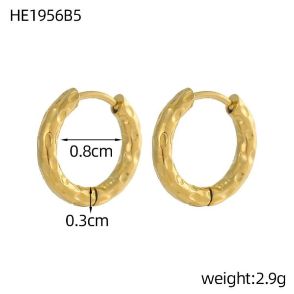 Versatile Fashion High-End Simple Everyday Versatile Light Luxury Metallic Titanium Steel Vacuum Electroplated (Furnace) Star Heart-Shaped Earrings