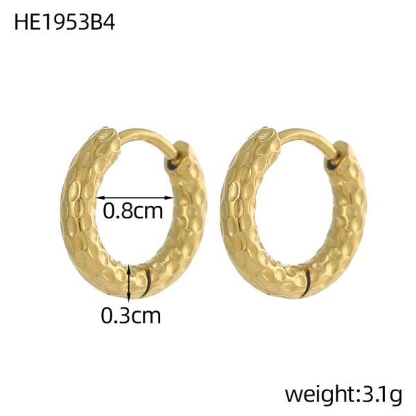 Versatile Fashion Exquisite Simple Daily Light Luxury Niche High-End Plain Hoop Titanium Steel Vacuum Electroplated Earrings