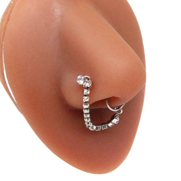 picture_278271f4-dbcd-453f-8db8-c261d55294c9(2) Stainless Steel Nose Studs Butterfly Chapter Heart Shaped Style Fashionable Jewelry Accessory For Men And Women