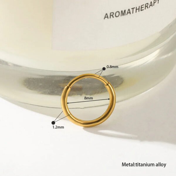 Titanium Alloy, 18k Gold Plated, Geometric Pattern, Nose, Ear, Ring, Hoop, Piercing, Small, Neat, Section, Earring, Dainty