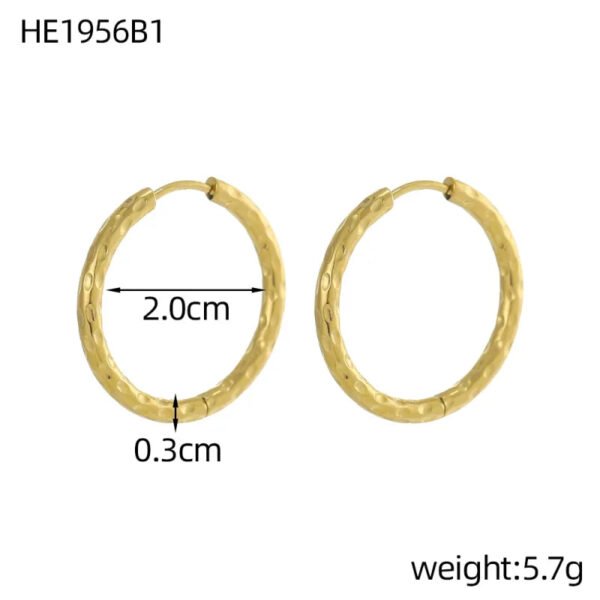 Versatile Fashion Exquisite Simple Daily Light Luxury Niche High-End Plain Hoop Titanium Steel Vacuum Electroplated Earrings