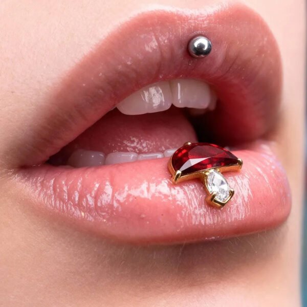 picture_2db6c567-3461-45fc-8201-5d6a12460a9b(2) Satan's Child Piercing Mermaid Lip Stud Titanium Alloy Stud Sweet Cool Hot Girl Piercing Titanium Alloy Zircon Lip Ring Titanium Alloy Jewelry