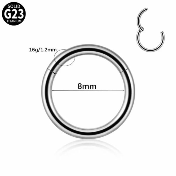 G23 Titanium, Single, Double Layer, Nose, Stud, Hoop, Chain, Piercing, Universal, Accessories, Zirconia, Split Ring, Geometric, Dangle, Between Earrings, Internal Thread, Screw, S Shape, Clicker, Vertical Labret.
