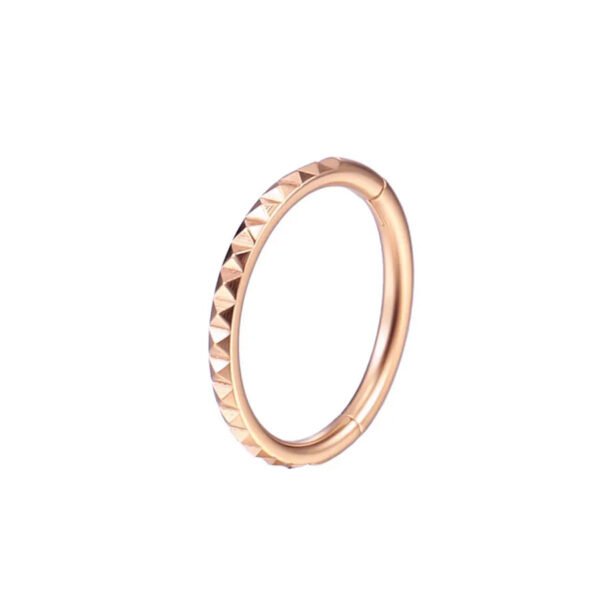 F136 Titanium, Nose, Ring, Geometric, Ear, Hoop, Clicker, Helix, Snug, Rook, Daith, Septum, Lobe, Rose, Gold, Detailed