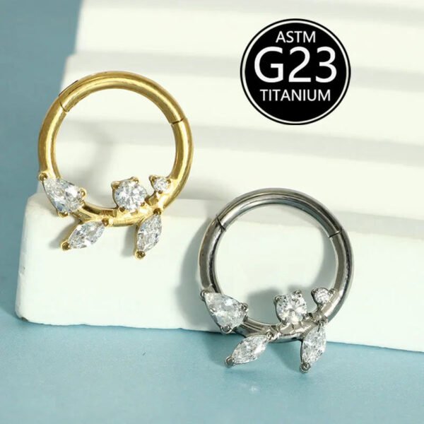 Simple Titanium Alloy ASTM F136 Zircon Leaf Nose Ring Ear Studs Ear Bone Ring Body Piercing Jewelry Fashionable Leaf Pattern