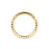 F136 Titanium, Nose, Ring, Geometric, Ear, Hoop, Clicker, Helix, Snug, Rook, Daith, Septum, Lobe, Rose, Gold, Detailed