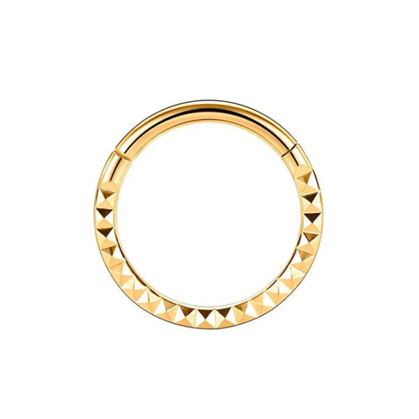 F136 Titanium, Nose, Ring, Geometric, Ear, Hoop, Clicker, Helix, Snug, Rook, Daith, Septum, Lobe, Rose, Gold, Detailed
