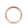 F136 Titanium, Nose, Ring, Geometric, Ear, Hoop, Clicker, Helix, Snug, Rook, Daith, Septum, Lobe, Rose, Gold, Detailed