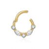 picture_39de354a-cfdc-4e4e-8c4d-a34be99ba40b(2) Titanium Alloy G23 Nose Ring Jewelry Women's Body Piercing Zircon Earrings Hoops Fashionable Unisex