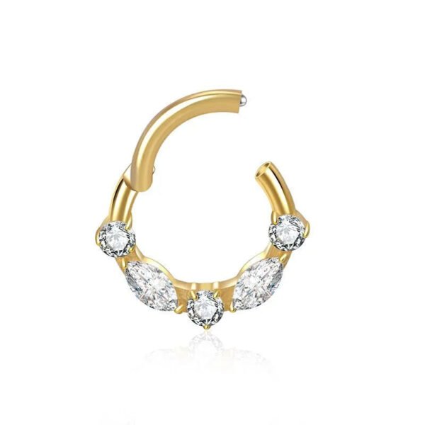 picture_39de354a-cfdc-4e4e-8c4d-a34be99ba40b(2) Titanium Alloy G23 Nose Ring Jewelry Women's Body Piercing Zircon Earrings Hoops Fashionable Unisex