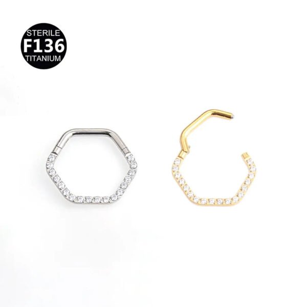 picture_3ea7c375-30fb-4972-8b87-851d35306416(2) Luxury Titanium Alloy Hexagonal Flower Nose Ring Ear Ring Body Piercing Jewelry Geometric Pattern Unisex Fashion Accessories