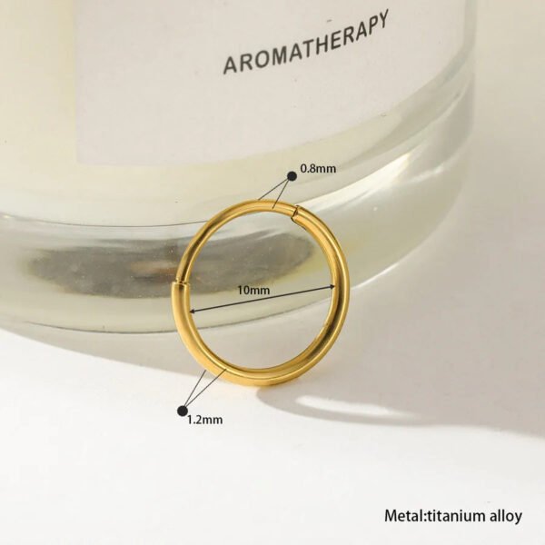 Titanium Alloy, 18k Gold Plated, Geometric Pattern, Nose, Ear, Ring, Hoop, Piercing, Small, Neat, Section, Earring, Dainty