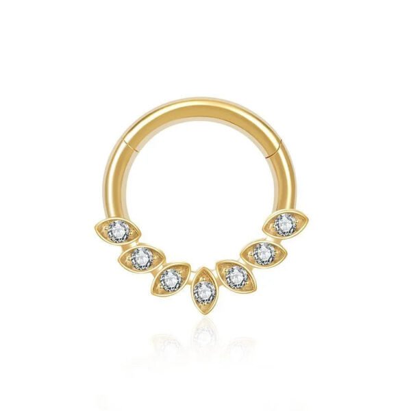 picture_4233a2be-08a2-42f4-9469-e577105fcc00(2) Titanium Alloy G23 Nose Ring Jewelry Women's Body Piercing Zircon Earrings Hoops Fashionable Unisex