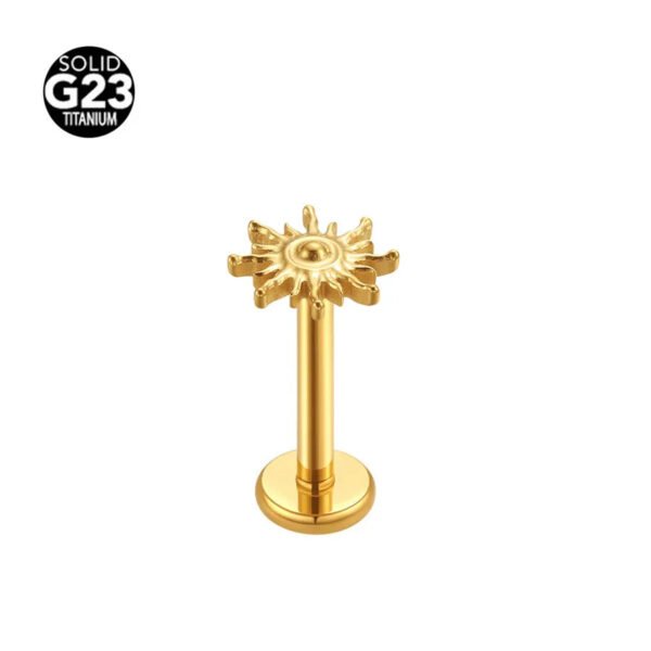 F136 Titanium Alloy Piercing Jewelry Sun, Flame, Ear Cartridge, Lip Studs, Vertical Labret, Threadless, Push in, Unisex, Dainty