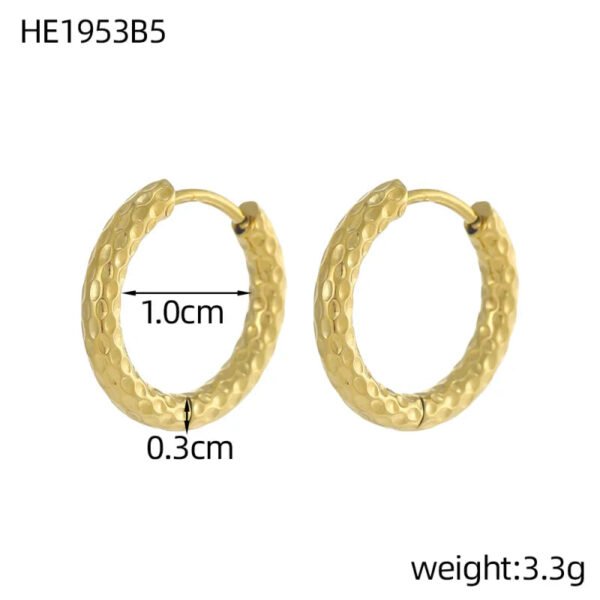 Versatile Fashion Exquisite Simple Daily Light Luxury Niche High-End Plain Hoop Titanium Steel Vacuum Electroplated Earrings