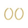 Versatile Fashion Exquisite Simple Daily Light Luxury Niche High-End Plain Hoop Titanium Steel Vacuum Electroplated Earrings