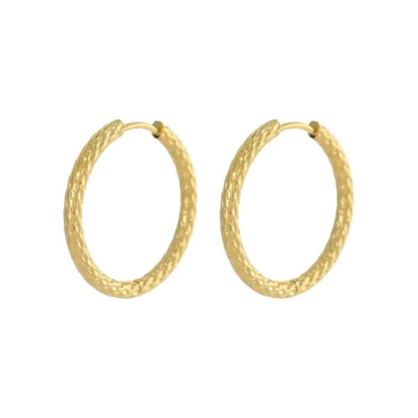 Versatile Fashion Exquisite Simple Daily Light Luxury Niche High-End Plain Hoop Titanium Steel Vacuum Electroplated Earrings