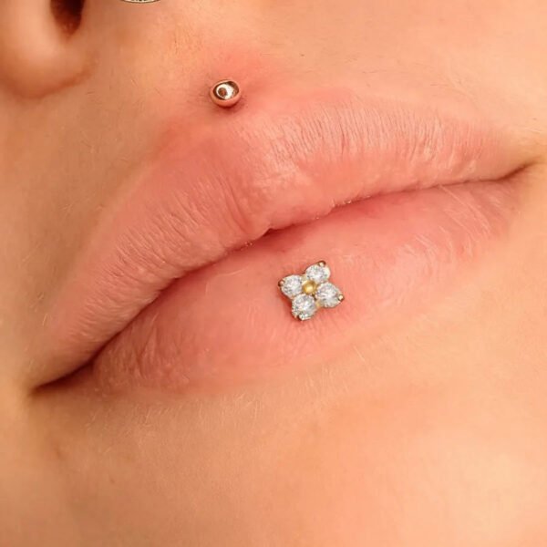 picture_49786bb8-f33a-43eb-b3be-2d00943898dc(2) Satan's Child Piercing Mermaid Lip Stud Titanium Alloy Stud Sweet Cool Hot Girl Piercing Titanium Alloy Zircon Lip Ring Titanium Alloy Jewelry