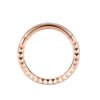 F136 Titanium, Nose, Ring, Geometric, Ear, Hoop, Clicker, Helix, Snug, Rook, Daith, Septum, Lobe, Rose, Gold, Detailed
