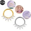 G23 Titanium, F136 Titanium Alloy, Inlay, Zircon, 14K Gold Plated, White Gold, Ear, Cartilage, Conch, Nose, Septum, Ring, Elegant, Glam, Snowflake.