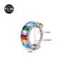 F136 Titanium Alloy, Ear, Hoop, Stud, Rainbow, Ice, Sugar, Ring, Geometric, Zirconia