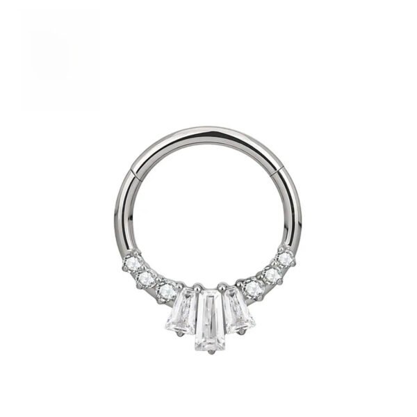 picture_6d589eb0-4e2b-4d50-98d5-4eff82cddc7c(2) Luxury Titanium Alloy Hexagonal Flower Nose Ring Ear Ring Body Piercing Jewelry Geometric Pattern Unisex Fashion Accessories