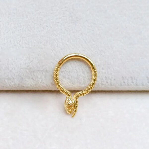 Titanium Alloy Double Layer Seamless Punk Zircon Nose Stud Round Earrings Piercing Jewelry For Men And Women