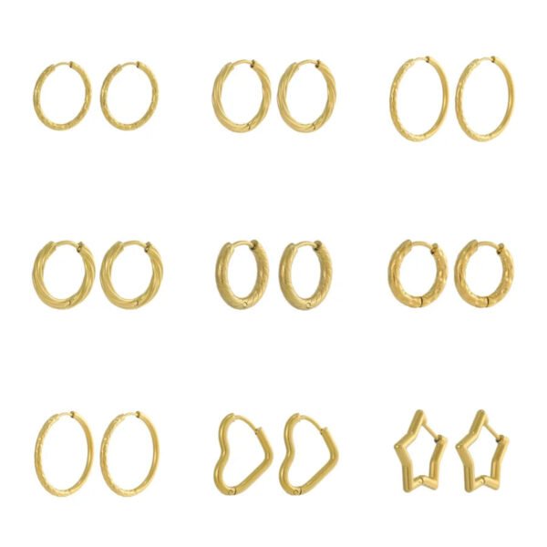 Versatile Fashion High-End Simple Everyday Versatile Light Luxury Metallic Titanium Steel Vacuum Electroplated (Furnace) Star Heart-Shaped Earrings