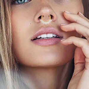 G23 Titanium, F136 Titanium Alloy, Inlay, Zircon, 14K Gold Plated, White Gold, Ear, Cartilage, Conch, Nose, Septum, Ring, Elegant, Glam, Snowflake.