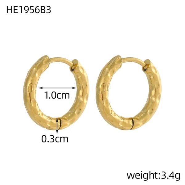 Versatile Fashion Exquisite Simple Daily Light Luxury Niche High-End Plain Hoop Titanium Steel Vacuum Electroplated Earrings