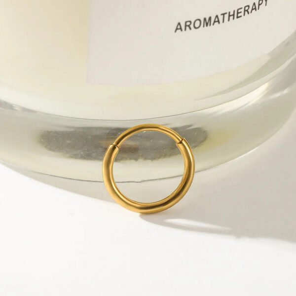 Titanium Alloy, 18k Gold Plated, Geometric Pattern, Nose, Ear, Ring, Hoop, Piercing, Small, Neat, Section, Earring, Dainty