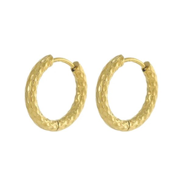 Versatile Fashion Exquisite Simple Daily Light Luxury Niche High-End Plain Hoop Titanium Steel Vacuum Electroplated Earrings