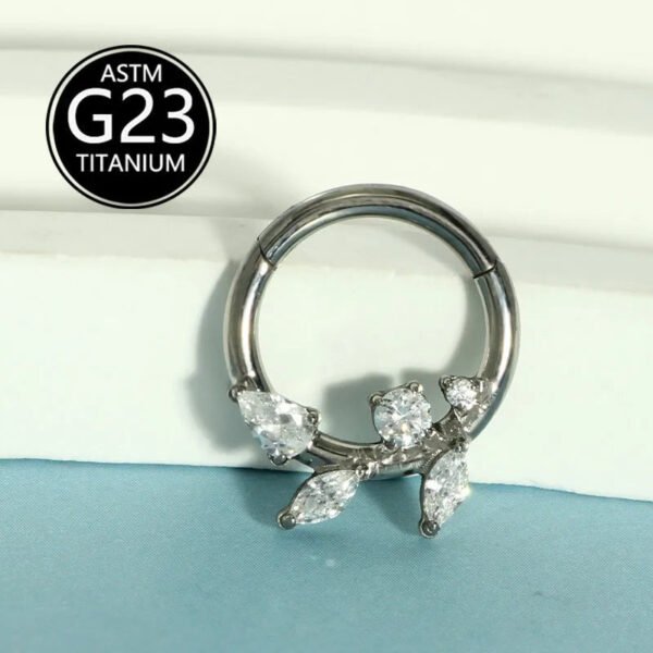 Simple Titanium Alloy ASTM F136 Zircon Leaf Nose Ring Ear Studs Ear Bone Ring Body Piercing Jewelry Fashionable Leaf Pattern