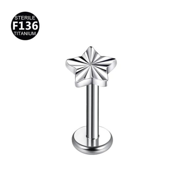 F136 Titanium Alloy, Butterfly, Knot, Heart Leaf, Star, Ear Cartridge, Lip, Stud, Vertical Labret, Geometric, Body Piercing Jewellery.