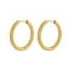 Versatile Fashion Exquisite Simple Daily Light Luxury Niche High-End Plain Hoop Titanium Steel Vacuum Electroplated Earrings