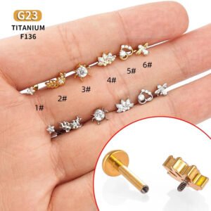 1Pcs G23 Titanium Alloy Heart Bee Star Zircon Lip Stud Ear Bone Stud Ear Stud Trendy Cartilage Piercing Jewelry
