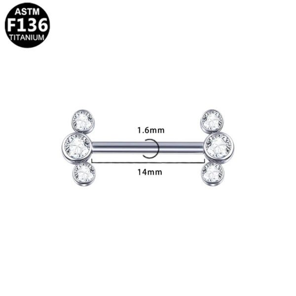 picture_8dc1d3b7-f2fd-4dde-8a3c-62cbc628c947(2) Butterfly Heart Shaped Titanium Alloy Piercing Set With Zirconia Stones Fashionable Style Chest Decorations