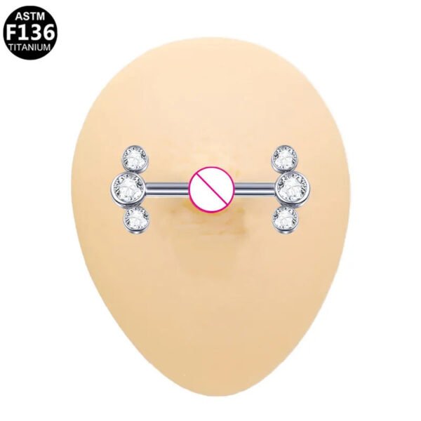 picture_93b5439e-3402-4647-b2c4-45f82dbab183(2) Butterfly Heart Shaped Titanium Alloy Piercing Set With Zirconia Stones Fashionable Style Chest Decorations