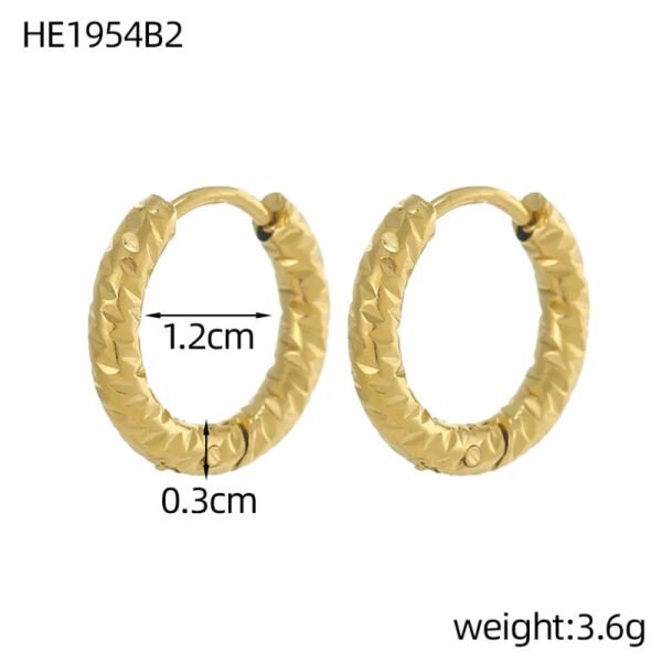 Versatile Fashion Exquisite Simple Daily Light Luxury Niche High-End Plain Hoop Titanium Steel Vacuum Electroplated Earrings