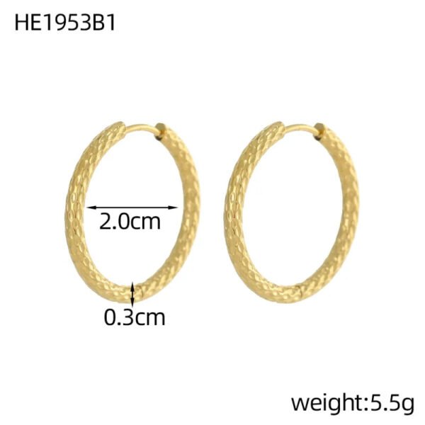 Versatile Fashion Exquisite Simple Daily Light Luxury Niche High-End Plain Hoop Titanium Steel Vacuum Electroplated Earrings