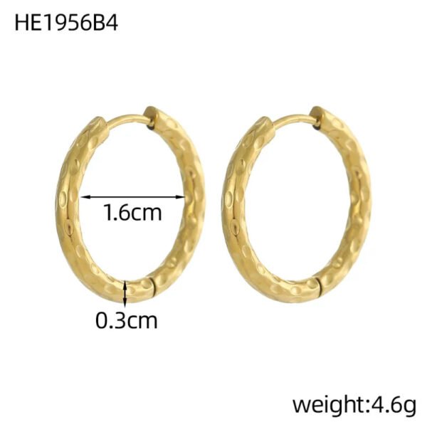 Versatile Fashion High-End Simple Everyday Versatile Light Luxury Metallic Titanium Steel Vacuum Electroplated (Furnace) Star Heart-Shaped Earrings