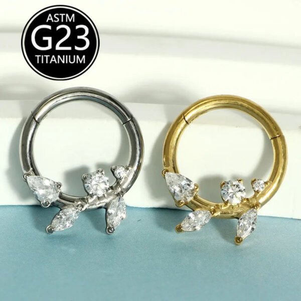 Simple Titanium Alloy ASTM F136 Zircon Leaf Nose Ring Ear Studs Ear Bone Ring Body Piercing Jewelry Fashionable Leaf Pattern