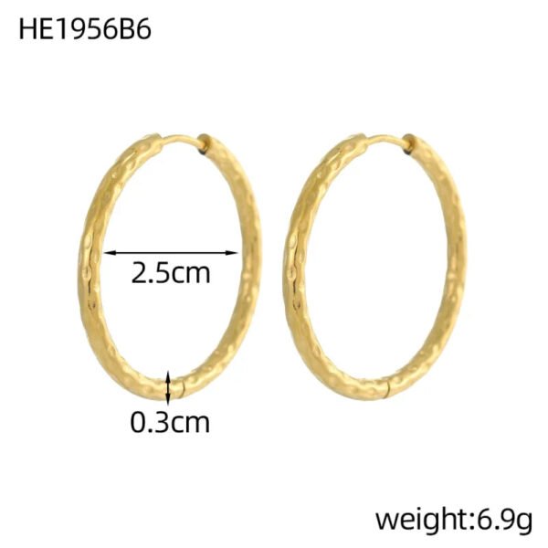 Versatile Fashion High-End Simple Everyday Versatile Light Luxury Metallic Titanium Steel Vacuum Electroplated (Furnace) Star Heart-Shaped Earrings