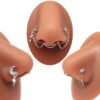 picture_a85b88ea-00f4-4700-9e95-382059dfb744(2) Stainless Steel Nose Studs Butterfly Chapter Heart Shaped Style Fashionable Jewelry Accessory For Men And Women