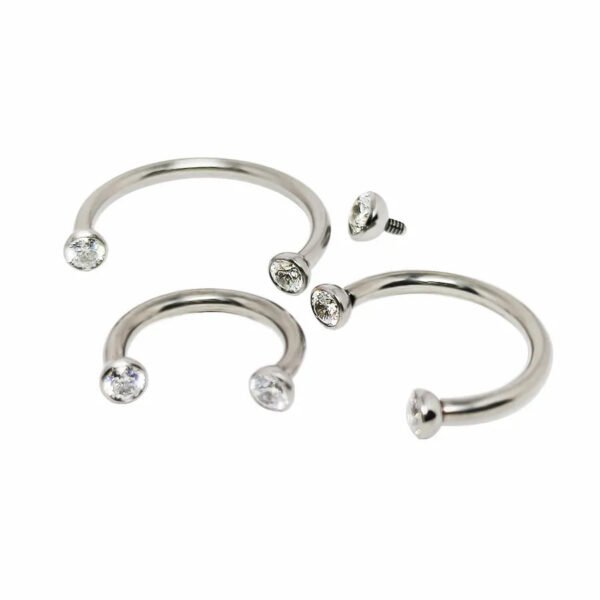 16G Titanium Alloy C-Shape Ear Lip Nose Ring Horse Hoof Shaped Zirconia Bowl Human Piercing Jewelry Unisex Birthday And Festival