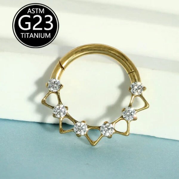 picture_b569cc0b-7ce1-4419-88ea-4ea241652105(3) New Fashionable Titanium Nose Ring F136 Hollow Zircon Unisex Creative Nose Jewelry Geometric Pattern Wedding Birthday Party