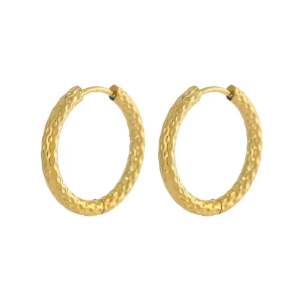 Versatile Fashion High-End Simple Everyday Versatile Light Luxury Metallic Titanium Steel Vacuum Electroplated (Furnace) Star Heart-Shaped Earrings