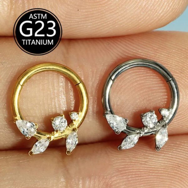 Simple Titanium Alloy ASTM F136 Zircon Leaf Nose Ring Ear Studs Ear Bone Ring Body Piercing Jewelry Fashionable Leaf Pattern